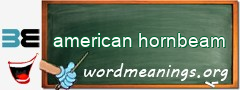 WordMeaning blackboard for american hornbeam